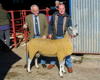 Champion Bluefaced Leicester from Messrs Hewson Burgh Head sold for £450-2